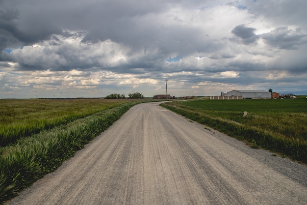 Champ vert frais et ciel bleu au printemps, vue sur le pré avec un chemin de terre.