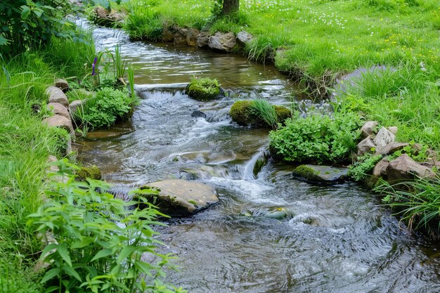 Un champ vert et luxuriant avec un petit ruisseau