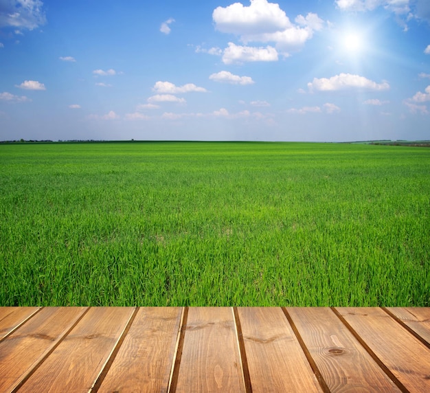 Champ vert sous le ciel bleu plancher de planches de bois