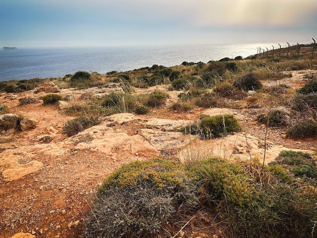 un champ avec une vue sur l'océan et une plage