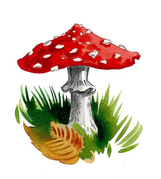 Champignon agaric à la mouche dans l'herbe verte croquis à l'aquarelle dessiné à la main