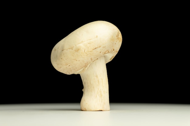 Champignon blanc sur fond noir vue rapprochée photo