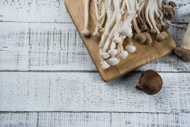 champignon sur le bois blanc