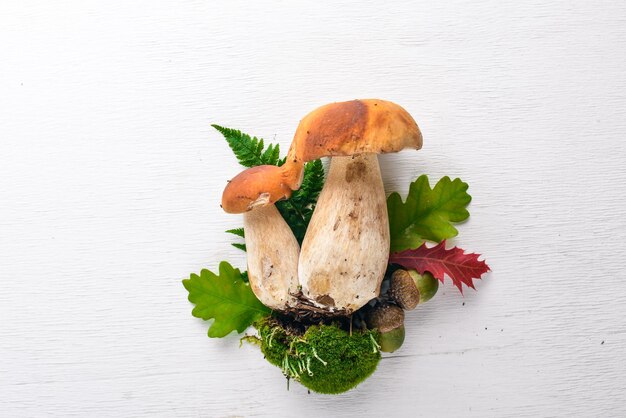 Champignon Boletus Champignons forestiers sur un fond en bois blanc Vue de dessus Espace libre pour le texte