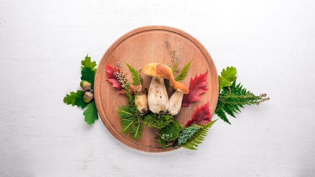 Champignon Boletus Champignons forestiers sur un fond en bois blanc Vue de dessus Espace libre pour le texte