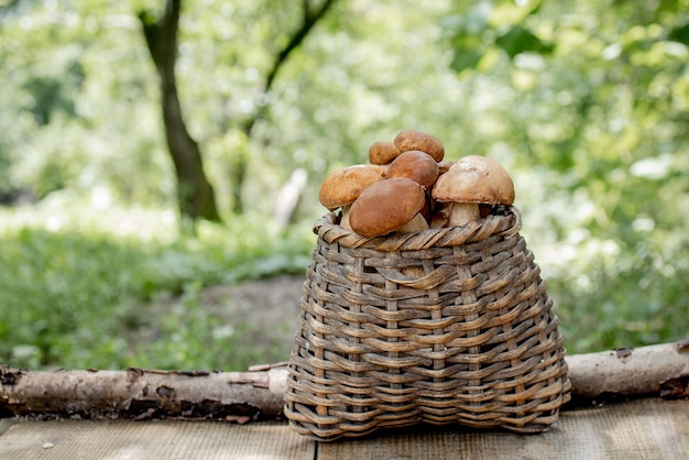 Champignon Boletus sur fond de bois Champignons Cep d'automne Ceps Boletus edulis sur fond de bois Gros plan sur une table rustique en bois Cuisson de délicieux champignons biologiques Nourriture gastronomique