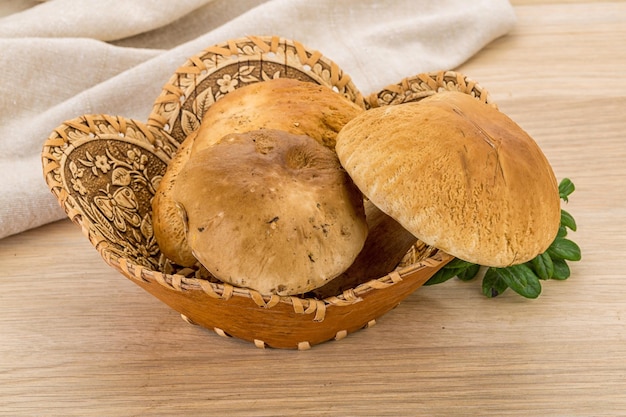 Champignon Boletus