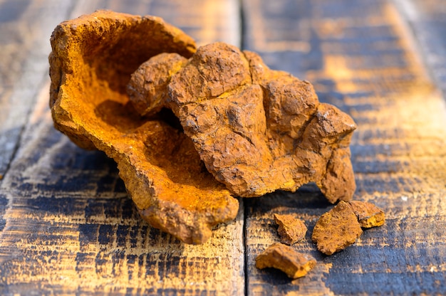 Champignon chaga de bouleau sauvage pelé sur une surface en bois