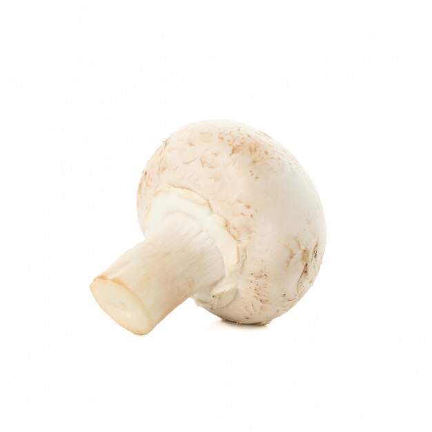 Champignon champignon isolé sur blanc, gros plan