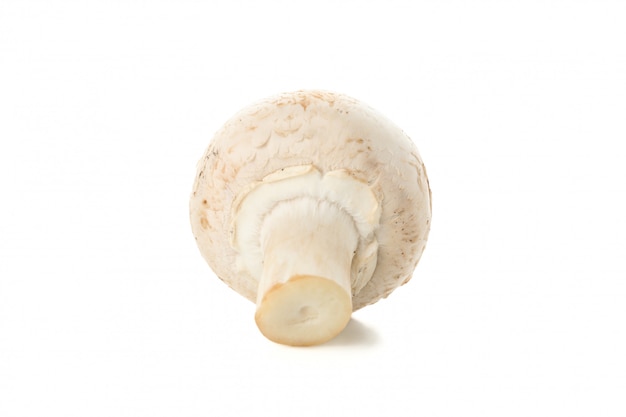 Champignon champignon isolé sur blanc, gros plan