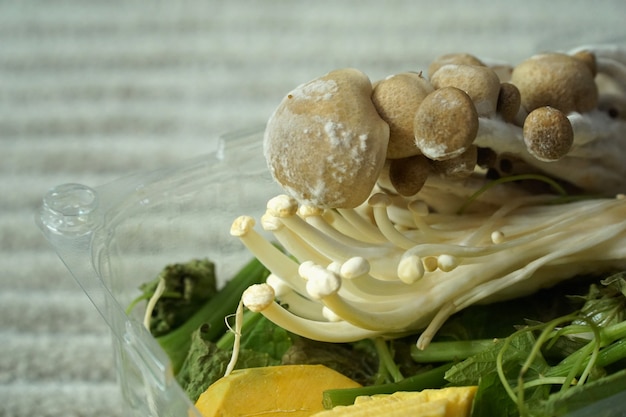 Champignon sur champignon avec mélange de légumes dans une boîte en plastique