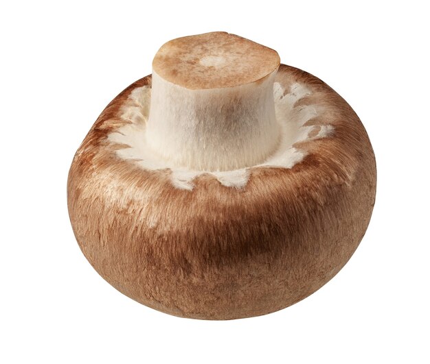 Un champignon de champignons frais isolé sur une surface blanche avec un tracé de détourage.