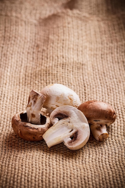 Champignon comestible frais