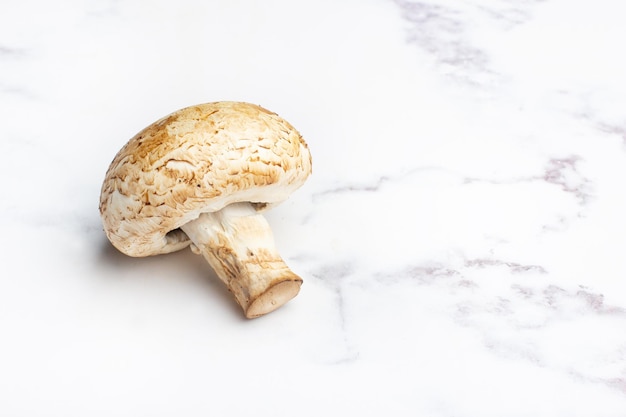 Un champignon sur un comptoir de cuisine en marbre gris et blanc en vue de dessus