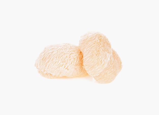 Champignon crinière de lion isolé sur une surface blanche