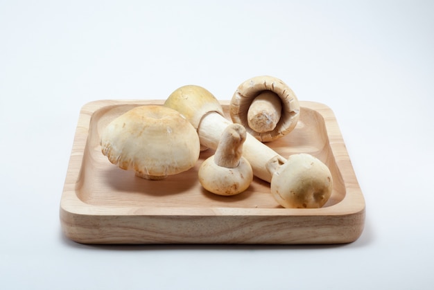 Champignon dans un plateau en bois carré avec un fond blanc