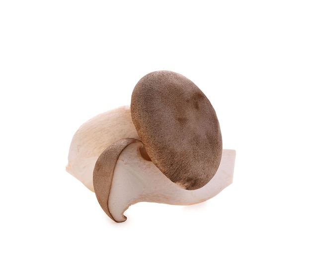 Champignon Eryngii sur blanc