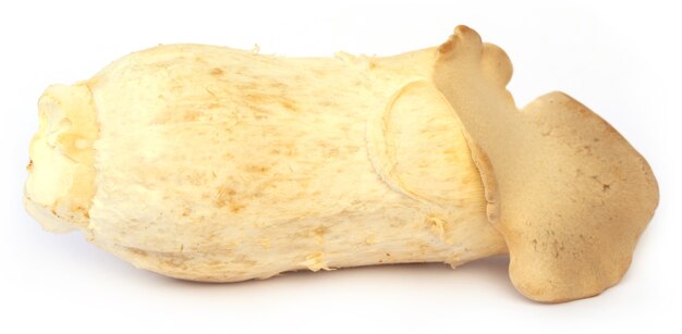 Champignon Eryngii comestible sur fond blanc