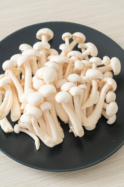 champignon de hêtre blanc frais ou champignon reishi blanc sur assiette