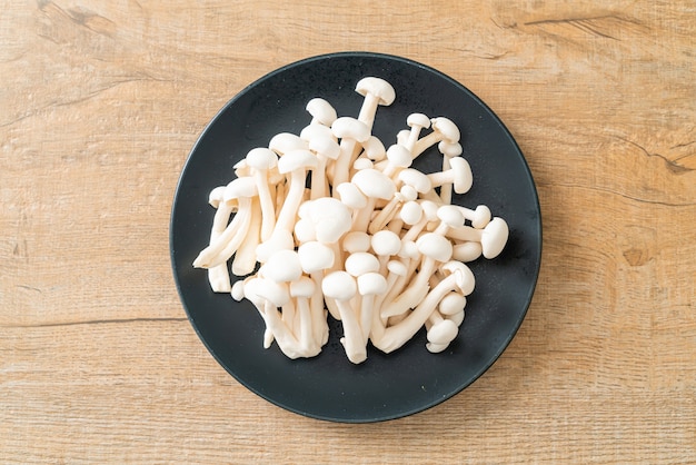 Photo champignon de hêtre blanc frais ou champignon reishi blanc sur plaque