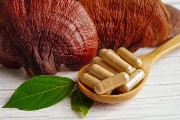 Champignon Lingzhi ou Reishi avec des capsules d'aliments sains naturels biologiques