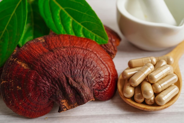 Champignon Lingzhi ou Reishi avec des capsules d'aliments sains naturels biologiques