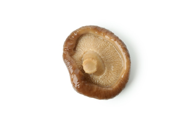 Champignon mariné unique isolé sur fond blanc