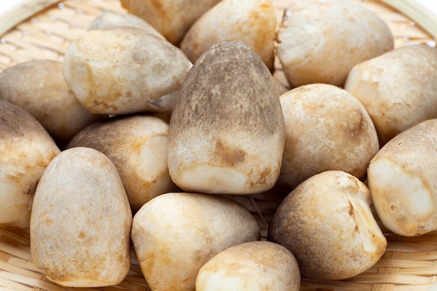 Champignon de paille sur fond blanc.