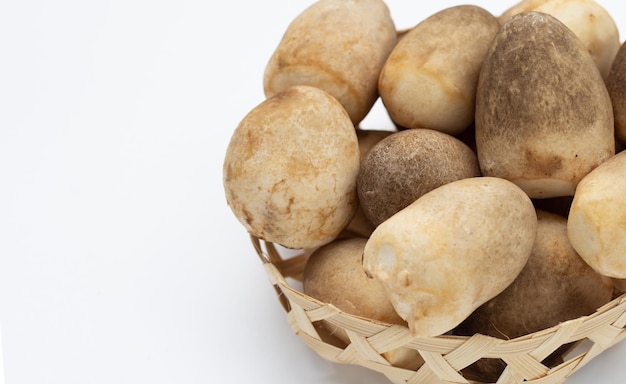 Champignon de paille sur fond blanc.