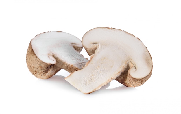 Champignon shiitake sur espace blanc