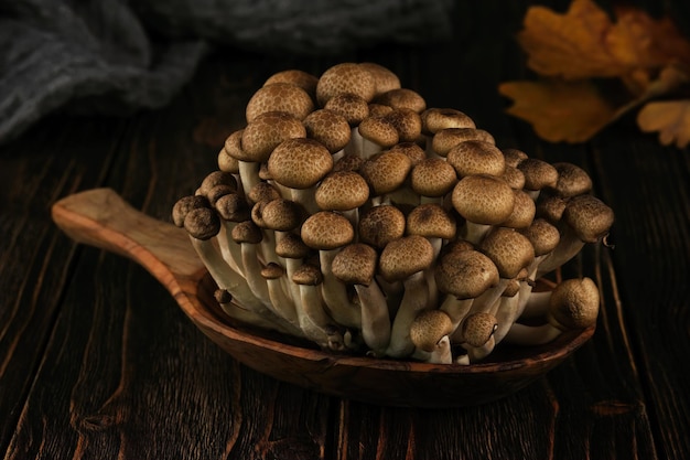 Champignon shimeji brun frais sur un fond en bois