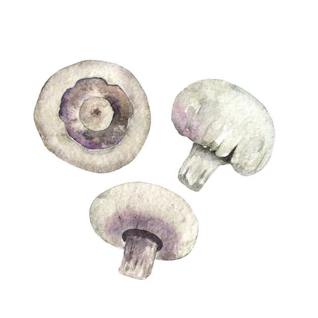 Champignon