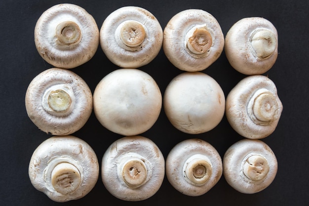 Champignons alignés sur fond noir.