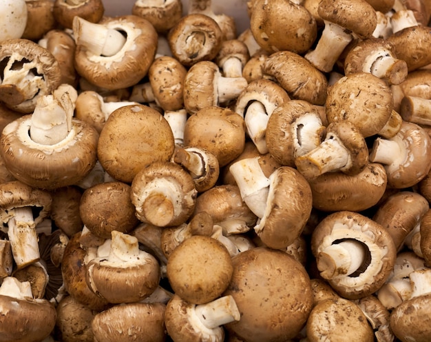 Champignons au marché