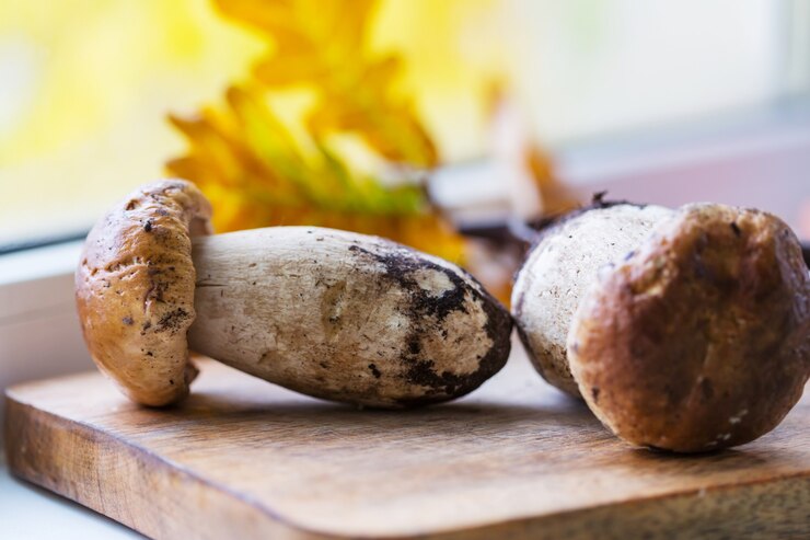 Champignons d'automne pour la cuisine