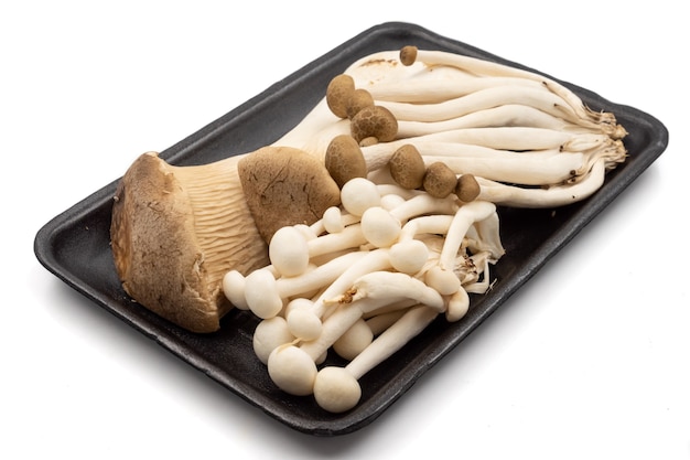 Champignons biologiques mixtes sur fond blanc