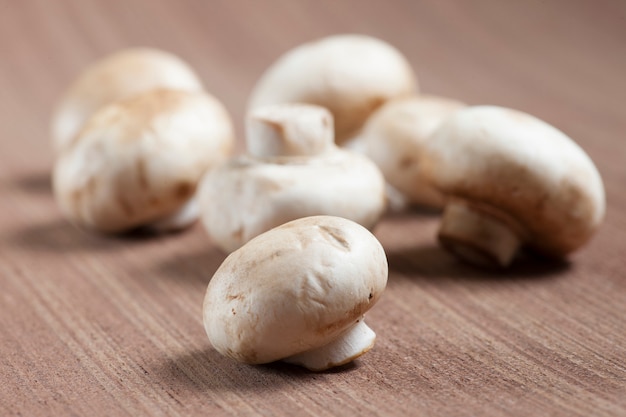 Champignons blancs sur bois backgroung