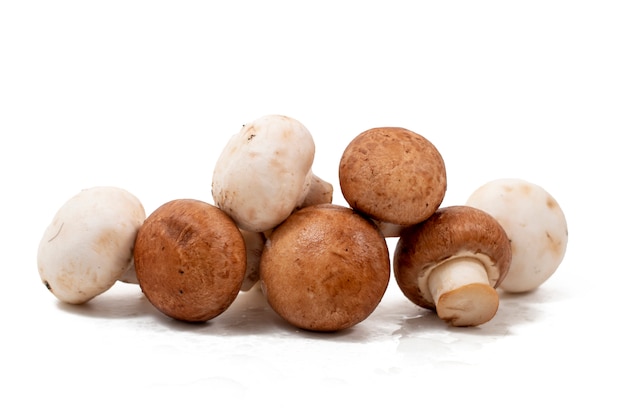 Champignons blancs et bruns