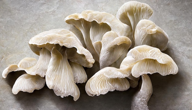 Champignons blancs champignons mûrs frais sur fond blanc Ai générative