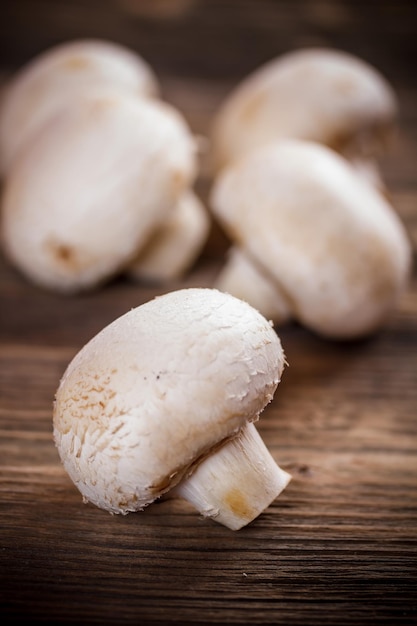 Champignons blancs