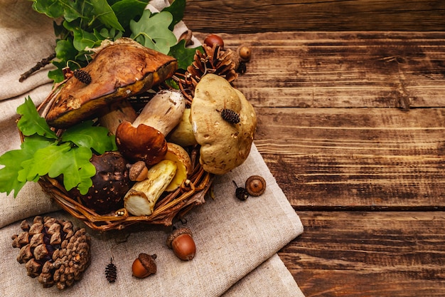 Champignons des bois frais. Assortiment de cèpes et cèpes gourmets, feuilles de chêne