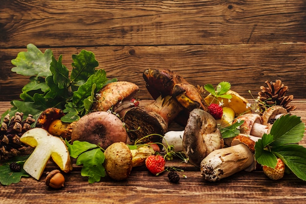 Champignons des bois frais. Assortiment de cèpes, cèpes, russula, fard à joues, feuilles de chêne, fraises