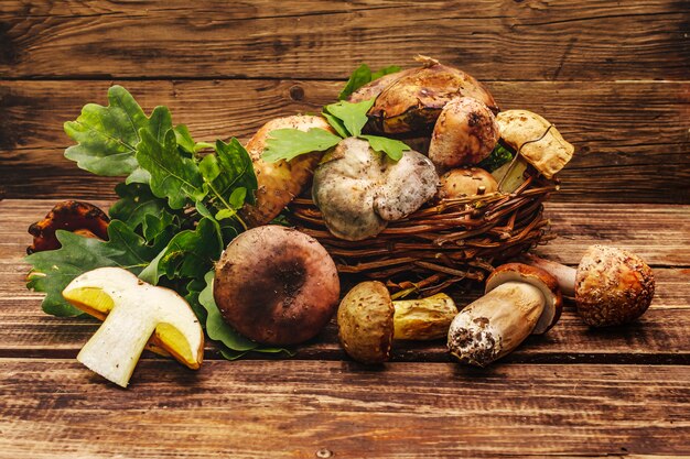 Champignons des bois frais. Assortiment de cèpes, cèpes, russula, fard à joues, feuilles de chêne