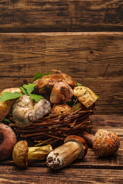 Champignons des bois frais. Assortiment de cèpes, cèpes, russula, fard à joues, feuilles de chêne