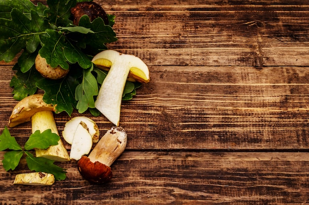 Champignons des bois frais. Cèpes et cèpes gourmands, feuilles de chêne