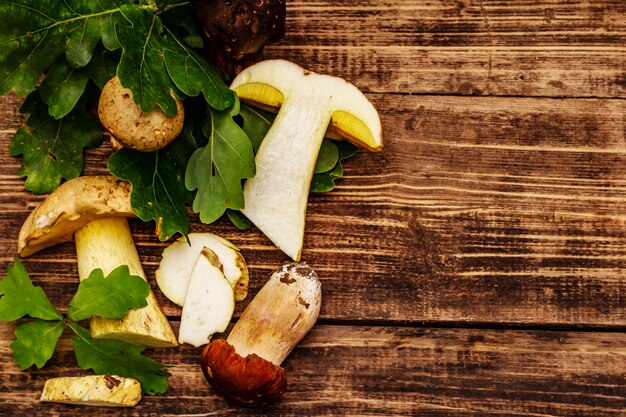 Champignons des bois frais. Cèpes et cèpes gourmands, feuilles de chêne