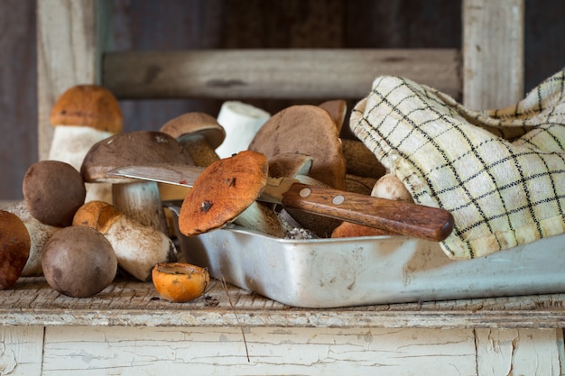 Champignons des bois