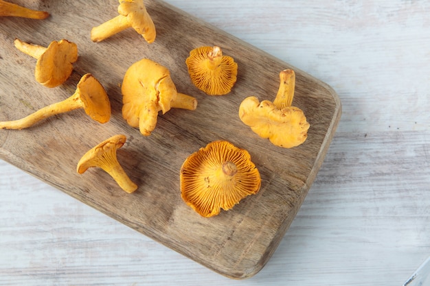 champignons cantharellus