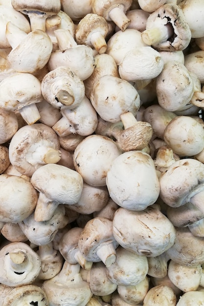 Champignons champignon crus. Vue de dessus sur un comptoir de magasin