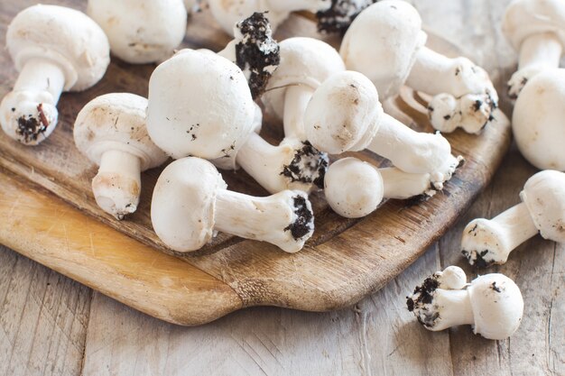 Champignons Champignon sur une vieille table en bois